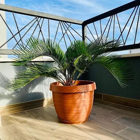 Tilda Apartment